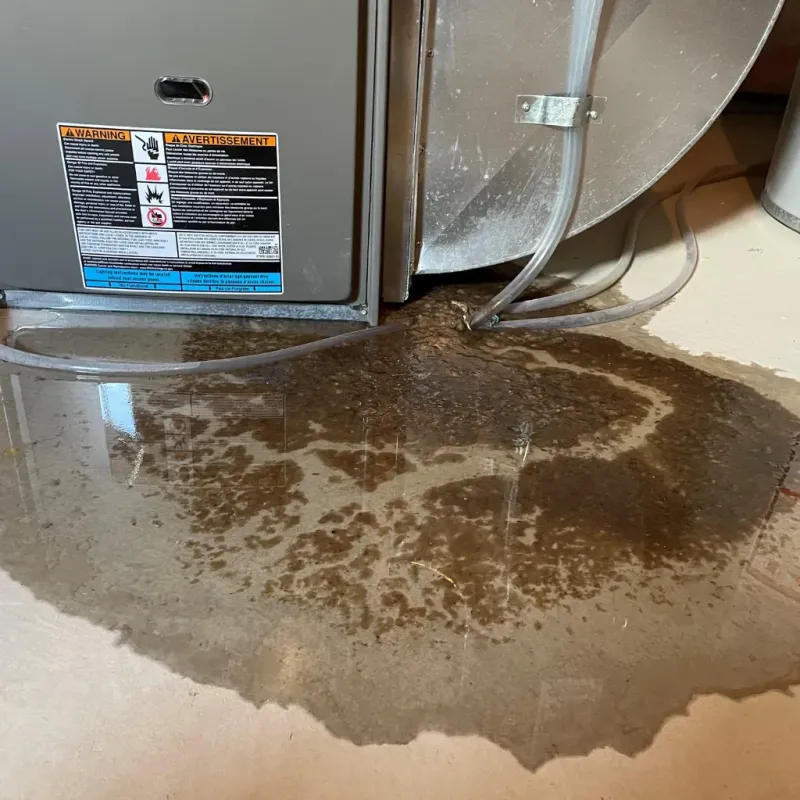 Appliance Leak Cleanup in Fairway, KS