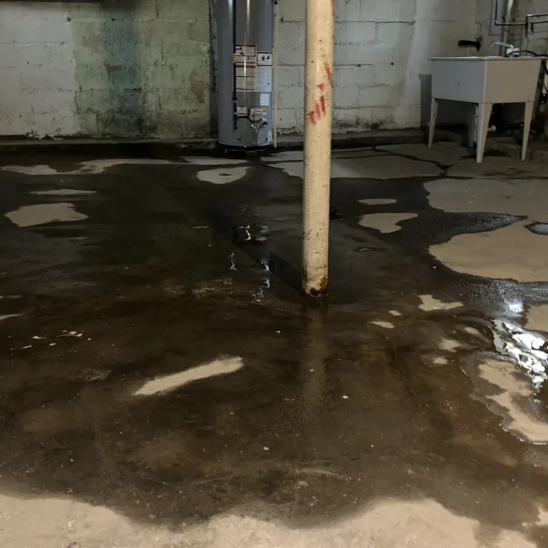 Emergency Water Extraction And Removal in Fairway, KS